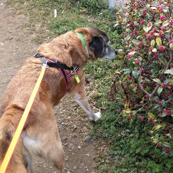 A2f87dd4 451f 4e76 94c1 45e5616fc096 1551224147433