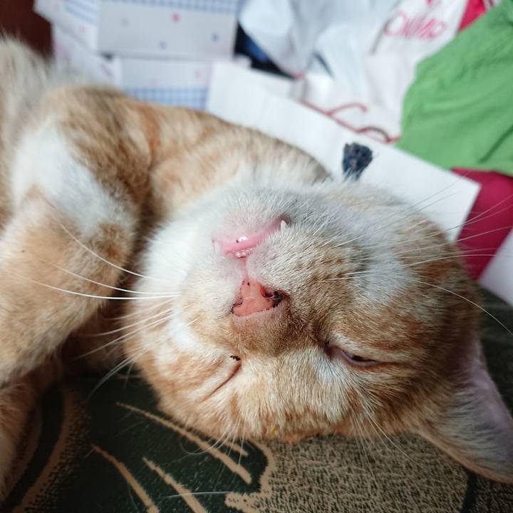 A2f88f71 f95b 4575 9b4c 957c1bc80b1c 1566424956442