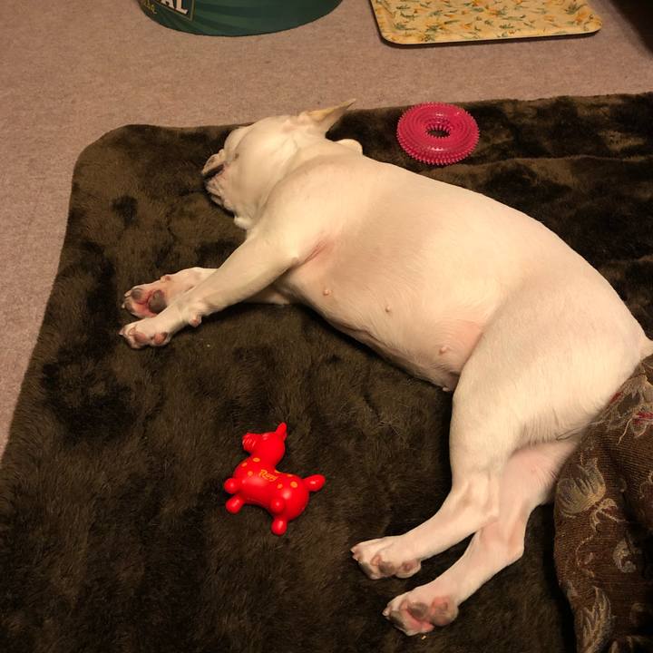 A2f8e2bf c2ea 4b84 8a69 35d50cace56f 1583664937637