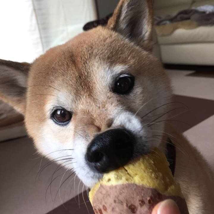 A2f8f835 3555 4d68 8ea2 cc50db1d821e 1511320702715