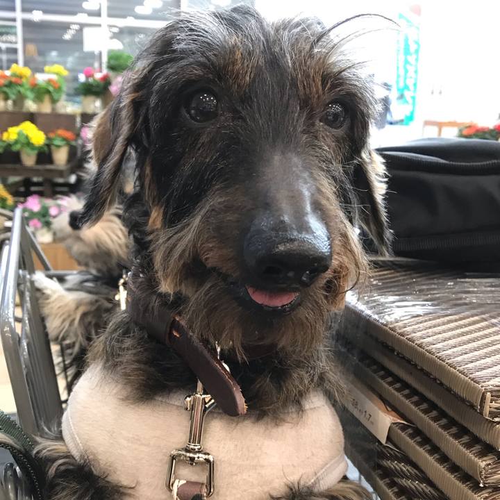 A2f9242d 6b45 49d2 bfe3 3a76633d0ab3 1550324891284