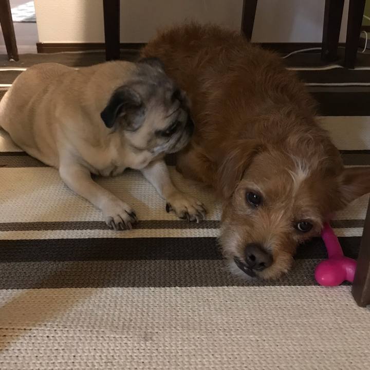 A2f98b11 afc3 4ff0 a945 bd1c87699405 1587036169175