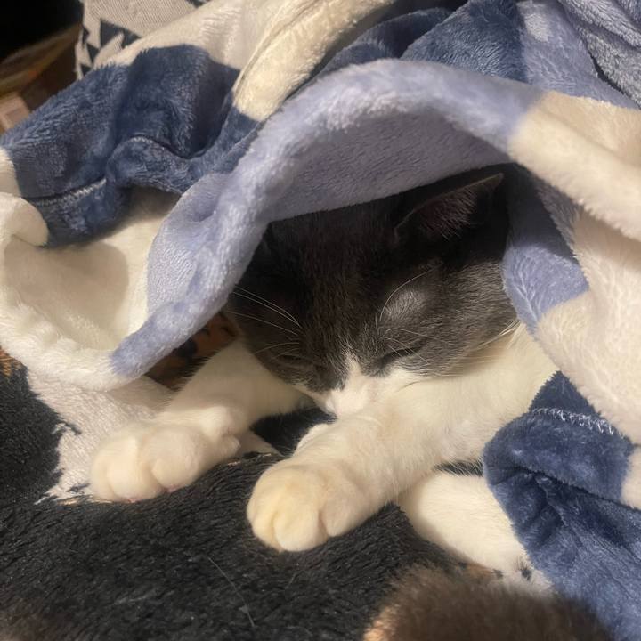 A2f9b85e 0420 477b 9605 d906bc5e36e7 1737458127022