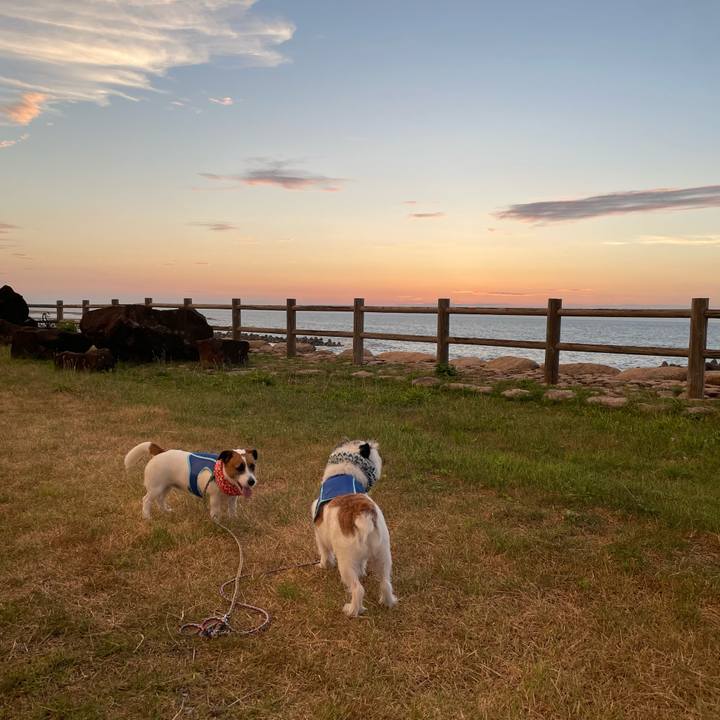 A2f9ceea 83e3 4ed2 94f2 29811bbe8320 1692352927687