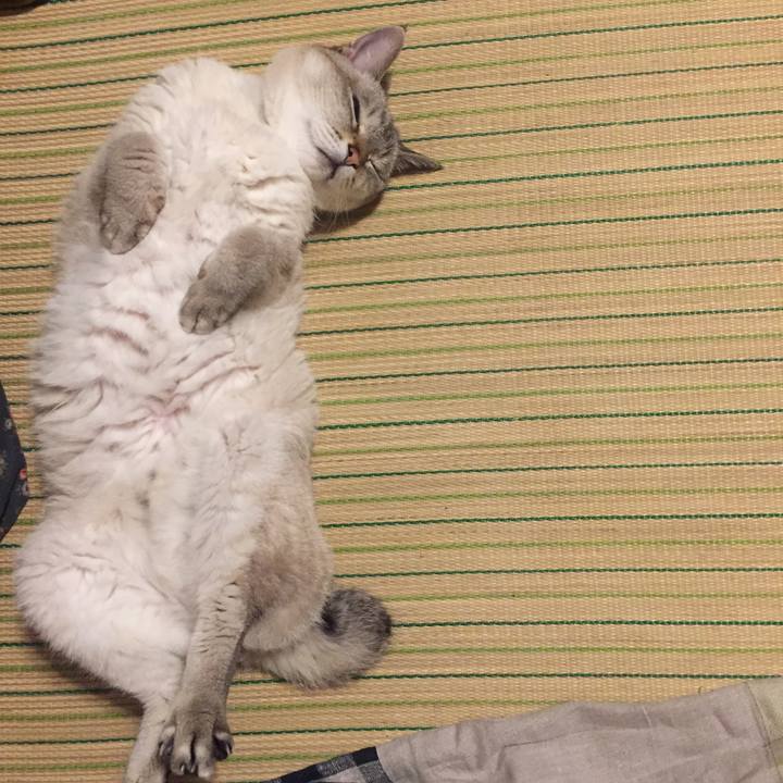 A2f9d16e c48f 4b1c bd5d a75ae4231382 1561725406728