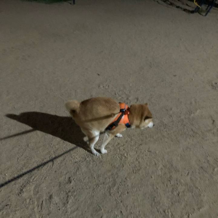 A2faa7d3 94c8 4299 af90 c8edabb2e94d 1565695054079