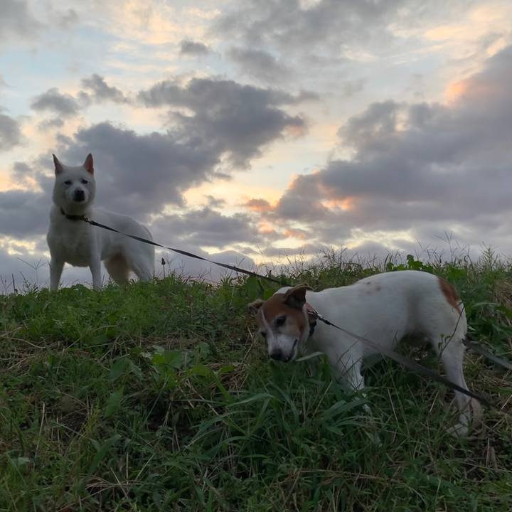 A2facf23 3774 4301 b9e7 7dbe0fcb0a31 1571742881607