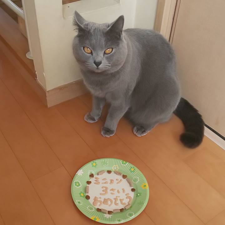 A2fb5d33 5dfb 4238 970a e2dc3373fca0 1577514903036