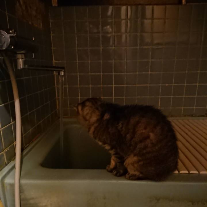 A2fc3387 0c03 49fa 884a 5a6fca0c5de1 1571561153687