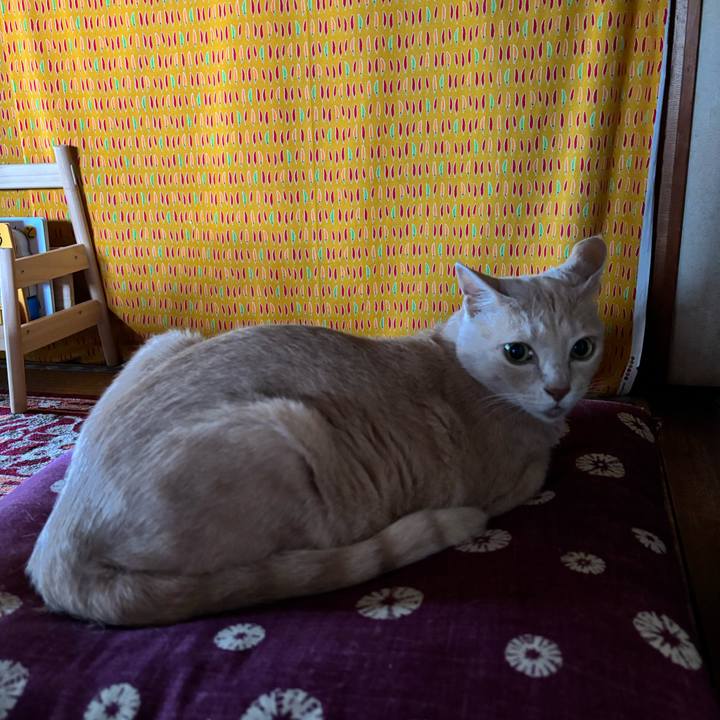 A2fc4722 e6da 4d27 b483 8f0a926bd041 1720597205587