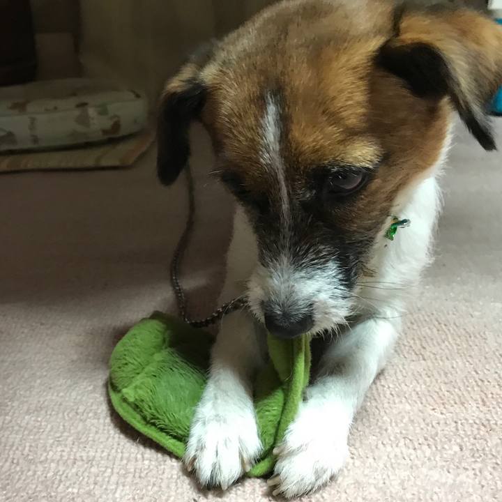 A2fc913f fb2e 4bd8 acff aa1be75cff3f 1512730914849