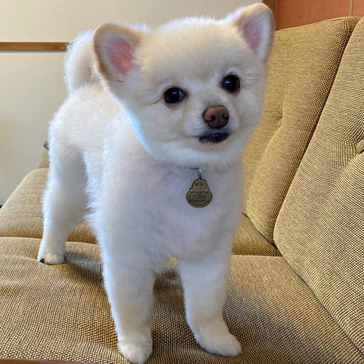 A2fc9fcc 424e 47a1 a1c5 d9e72045d5b0 1631964261648