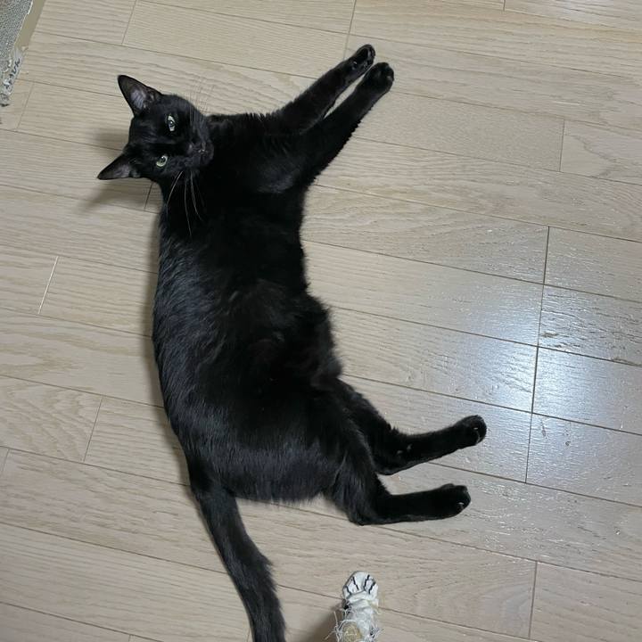 A2fcb638 8253 46ae 951d ff464c75d6ed 1698672619827