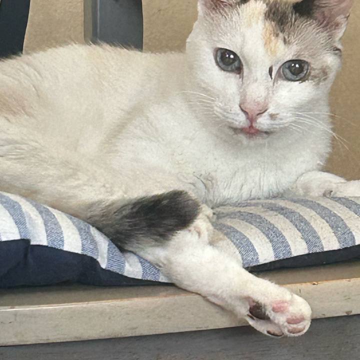 A2fcc9d3 5c76 461e a0c7 d35c5e447fb0 1758254496316