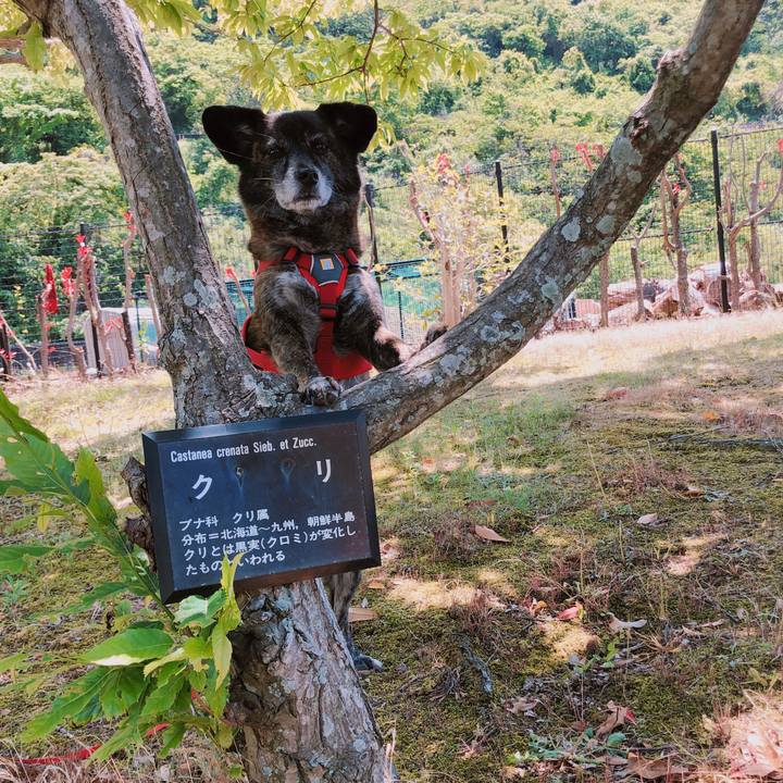 A2fcd5f4 cb8c 4f0a 9ba8 67ea1424a9d3 1620031693021