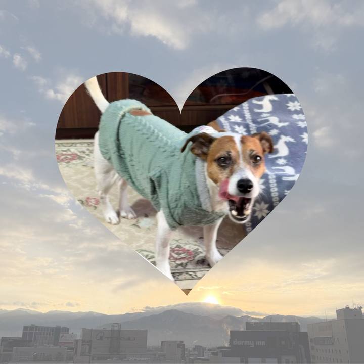 A2fcda71 bb84 42e9 aa99 57bd5c1e488a 1768300402212