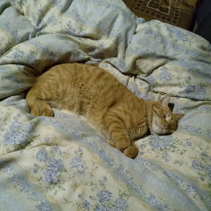 A2fd1746 6fd3 423f 9d21 510eb4bd1f29 1664375033562