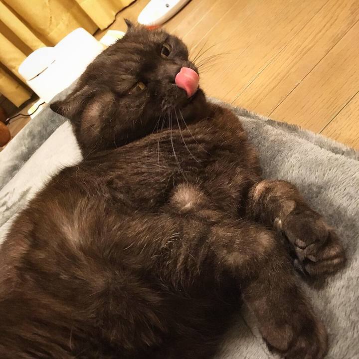 A2fd22d9 5743 43aa 8ac0 f73ec90cbf5d 1551114224294