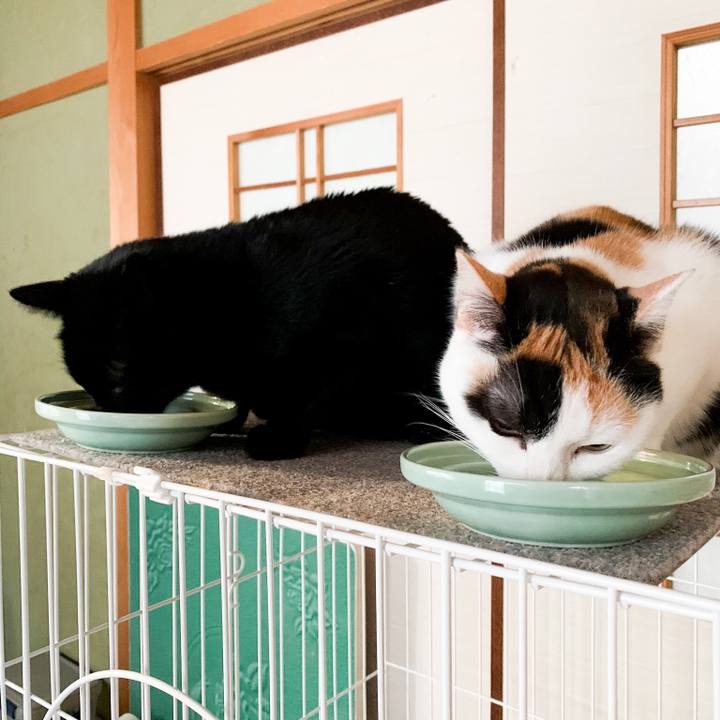 A2fd3c8c d8fb 4c8e 987c 94c00427a853 1548207738910