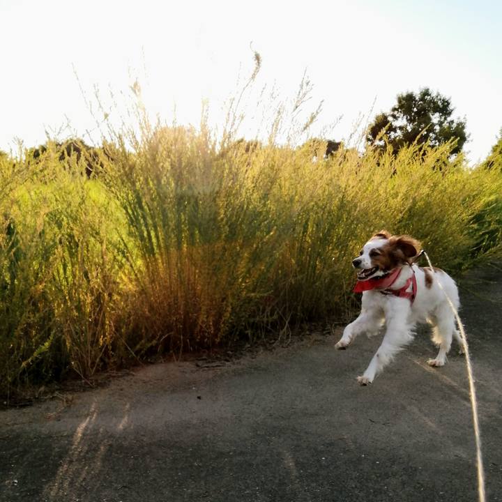 A2fd7553 e7b2 4866 ae53 48ccd831faee 1627212252056