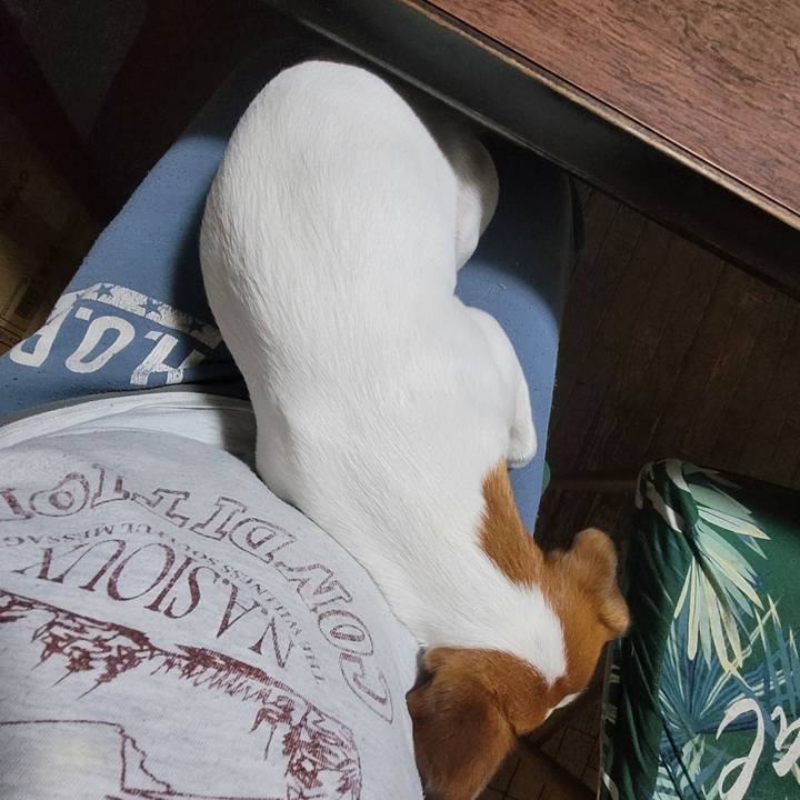 A2fdc99f 7a60 40d4 85d8 618fee549cbb 1665101815123