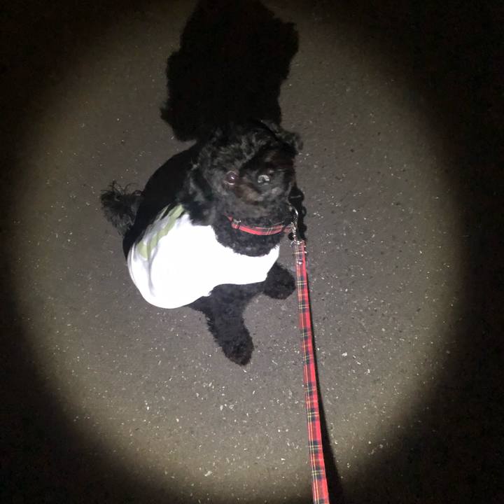 A2fdd6e7 ae7e 48b9 aa9b db89dbb308ca 1601778341745