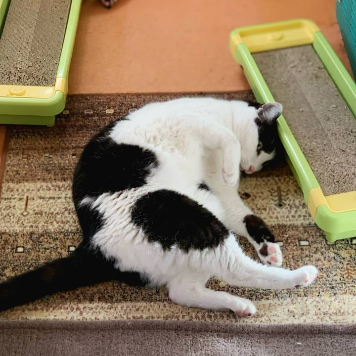 A2fdef6b 307b 41aa 8d33 abcb7a63d817 1585533308000