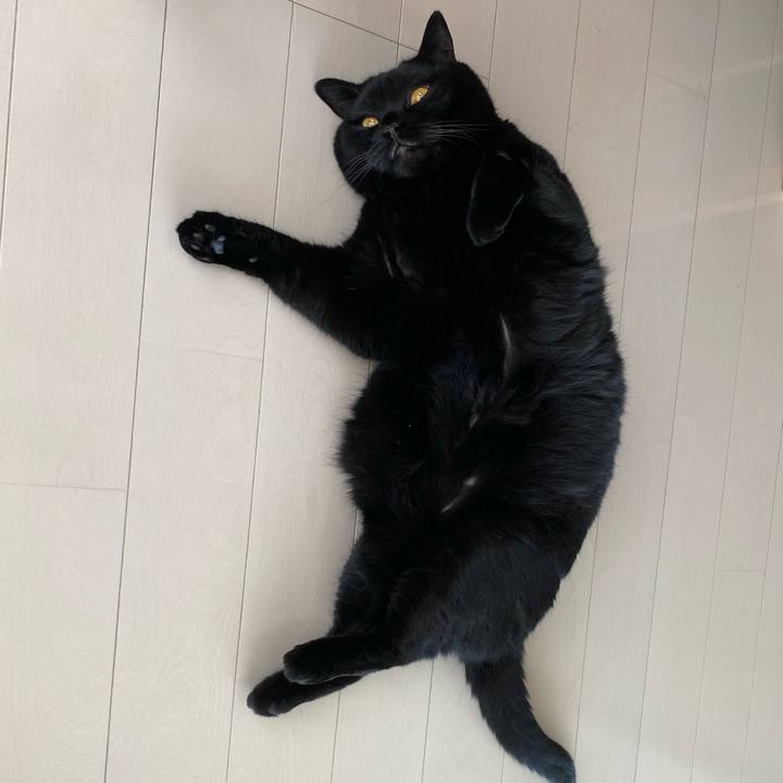 A2fe12a3 5a23 4869 8f58 6e79f1d9c9a9 1629774583256