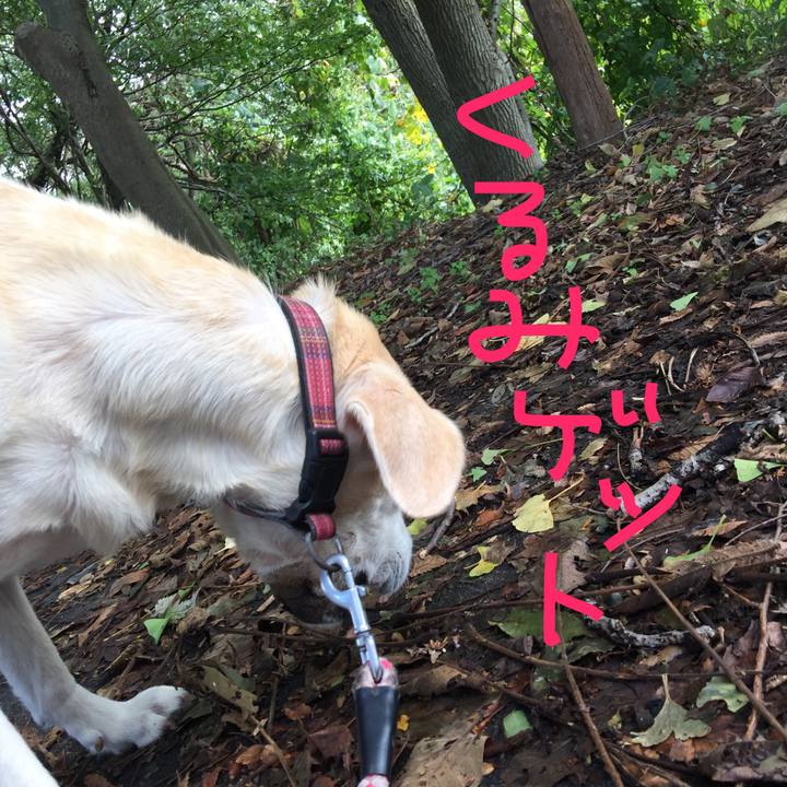 A2fe8ebd c9ae 4b3e bf43 f1a36e6faf60 1509502583881