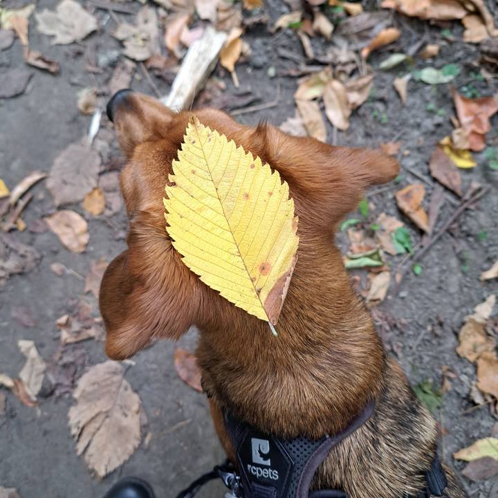 A2fe963d 973d 4c77 9e61 3500791f3732 1760787753791