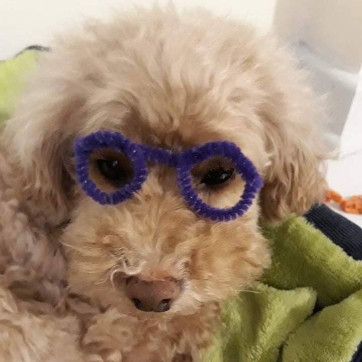 A2feb468 8243 4b74 8549 66fba4214422 1582757230780