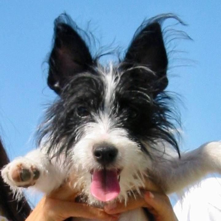 A2feb94f 7563 484d 85b1 9a7513c7c4bf 1697085064872