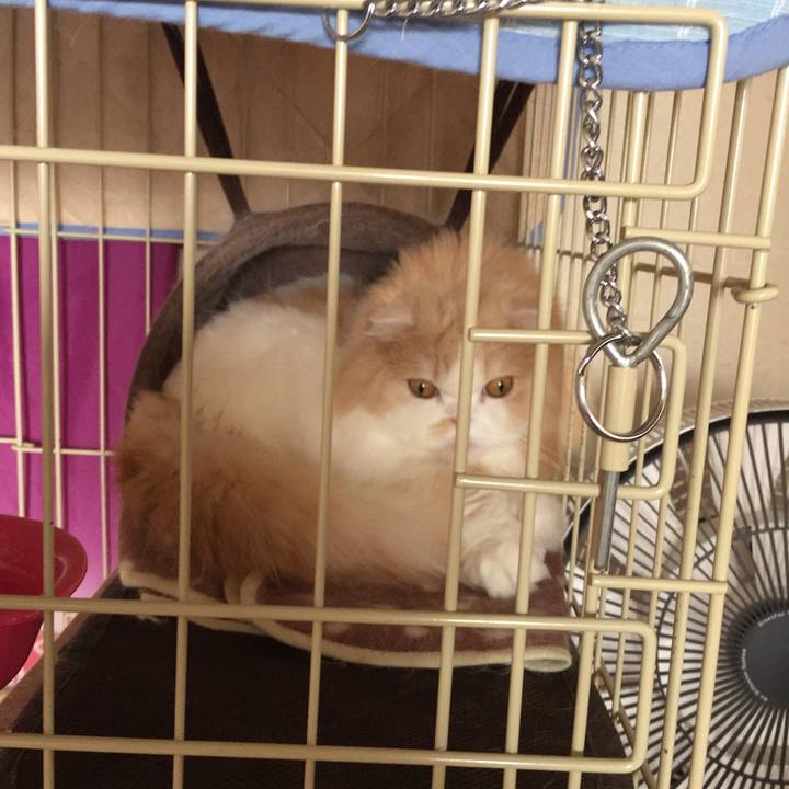 A2fed7e7 312b 4d99 8ebf ad56f2deb232 1522550554911