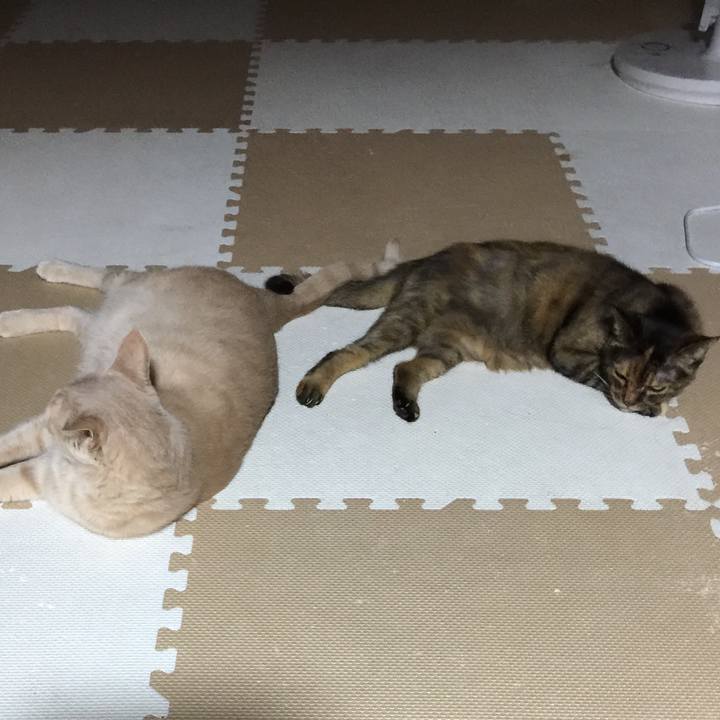 A2fefbb8 99d0 4ddb b207 847c6e4267ee 1535886709817