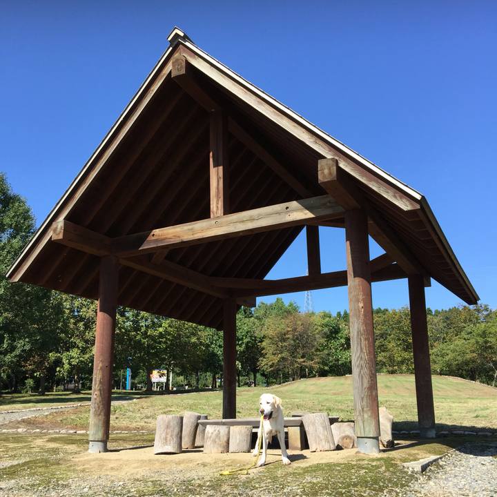 A2fefec0 00ef 4cac b577 8282d7e2305d 1559237769547