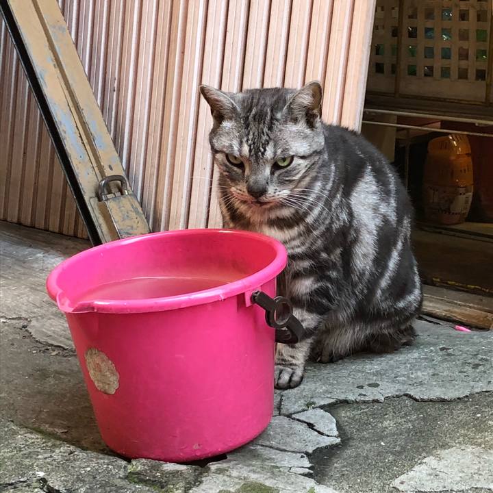 A2ff386b ee15 46d0 9174 a274605321c4 1525418683968