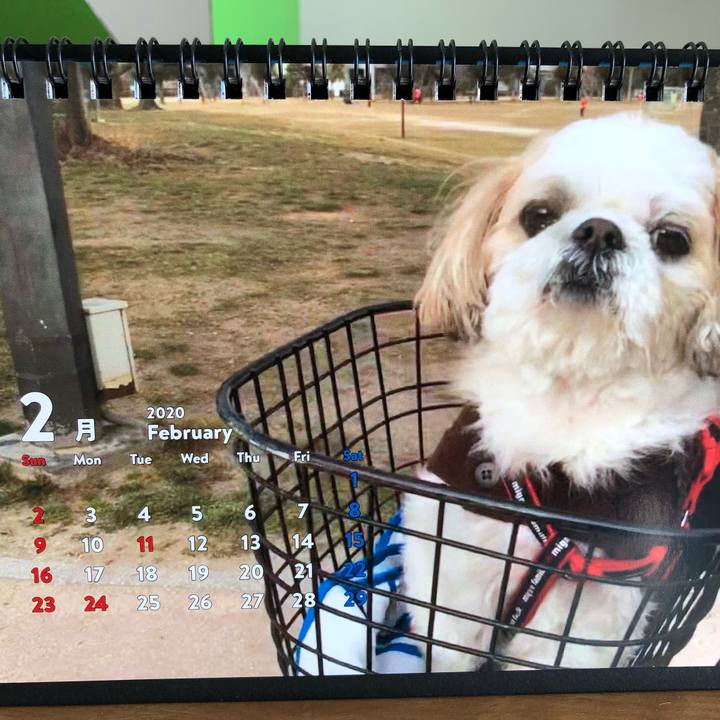 A2ff7646 a01e 4f1a b1e1 920ce0ac76a6 1580520763121