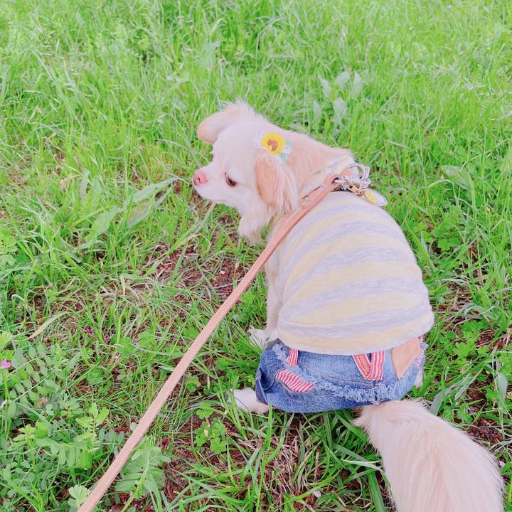 A2ff9136 03a7 4ee5 968c c8af83023a38 1682067985150