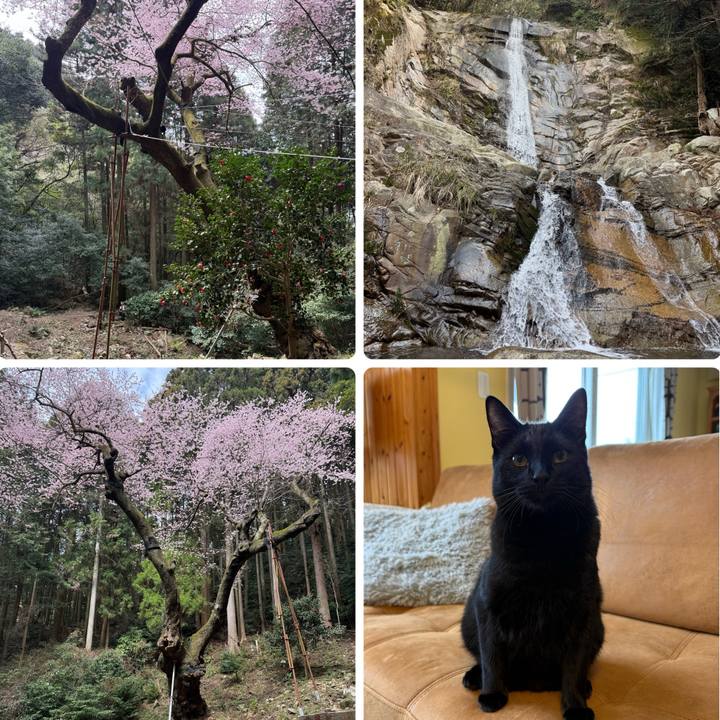 A2ffc531 6fa6 4f5c 977d 36a20f5adbf9 1774846583598