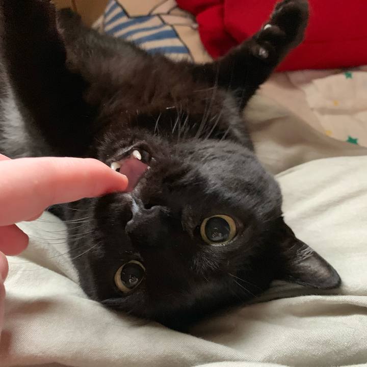 A2fff4f8 9cbb 4c15 8386 d600ec71e450 1562886359279