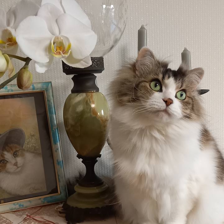 A2ffffde 39ae 4dd0 80c6 56a1d054cb52 1646986215738