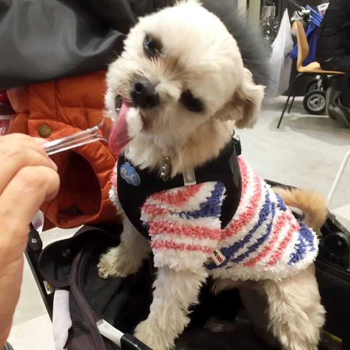 A30000a1 d8f1 4e8c a7c3 d4beae3fe621 1548584257608