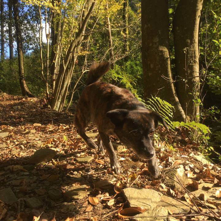 A3001257 b80e 46f4 97fe 9980a314a696 1541516812823