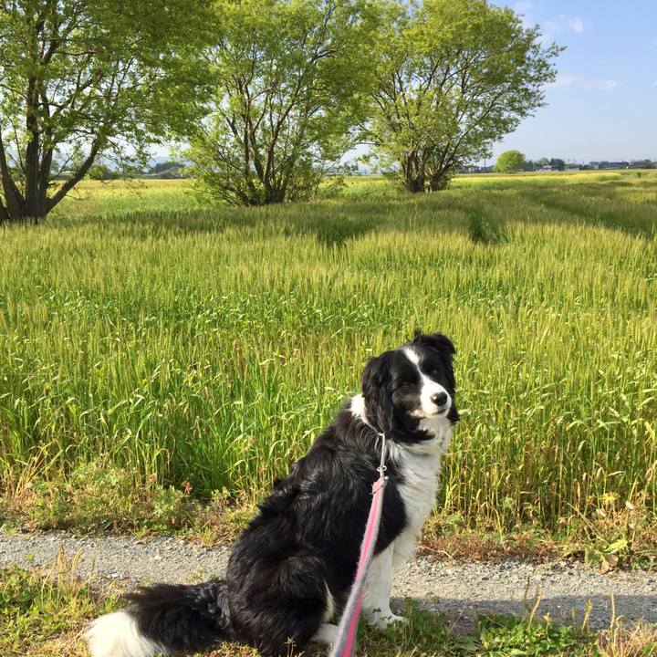 A3002e38 3458 4159 a1b4 23fe57422da4 1587685443595