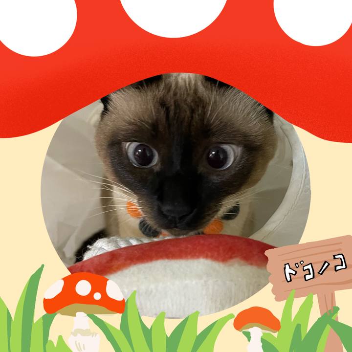 A30048f9 4419 49b3 b0f9 c2138d3dffb8 1729626933955