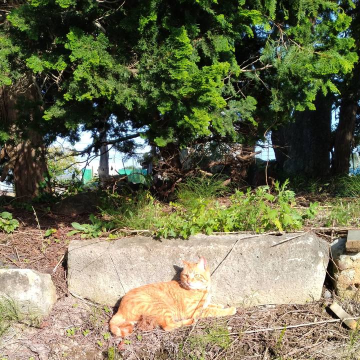 A3005ac4 b17f 45cb ae19 52122eff04cb 1664087379092