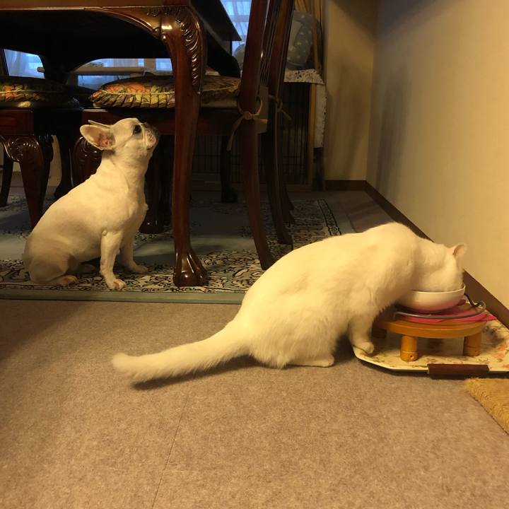 A300c718 821b 44fc 9969 ffec918e1b91 1589978134852