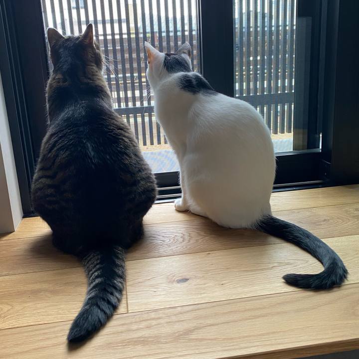 A300ce35 b793 4068 96ae 127b36fdec59 1751360673777