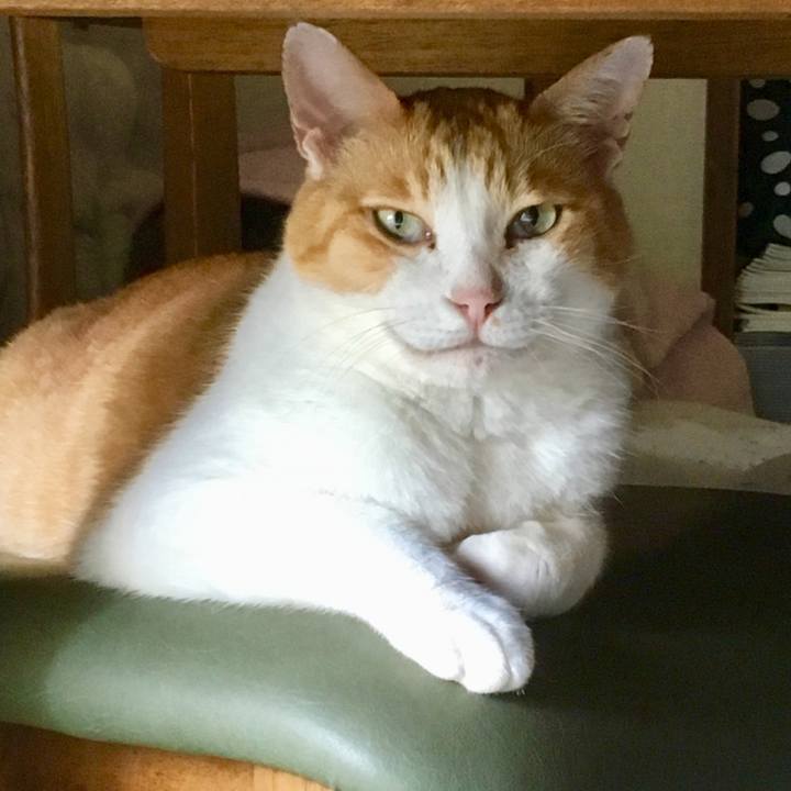 A300d446 d552 42df a8d4 bd8a351d9eab 1564714266991