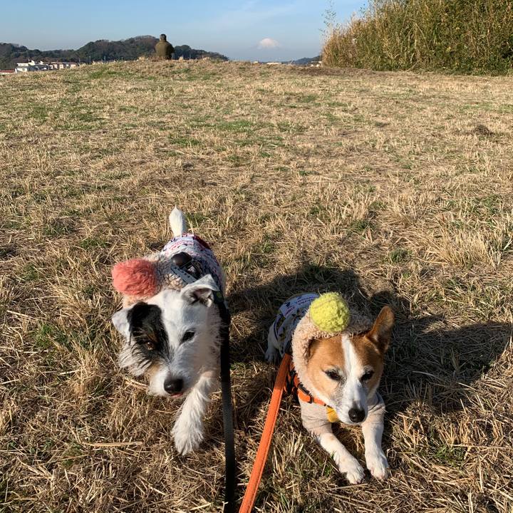 A300d6ca e5da 4869 a7d0 635852720ad0 1639615108845